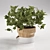 Refreshing Mint Pot: Sagaform's Perfect Herbal Companion 3D model small image 1