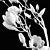 Elegant Magnolia Bouquet - Lifelike Floral Arrangement 3D model small image 3