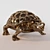 Majestic Turtle Sculpture 3D model small image 1