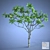 Exquisite Plumeria Plant 3D model small image 1