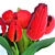 Elegant Tulip Bouquet 3D model small image 2