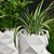 Marquis Potted Plants: Greenery Collection 3D model small image 1