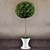 Elegant Tree Vase 3D model small image 1