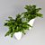 Zamioculcas: Large White Vase with Unique Pattern 3D model small image 2
