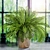 Stylish Decorative Plant: A Touch of Green 3D model small image 1