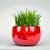 Lush Potted Grass: Beautiful, Low-Maintenance 3D model small image 1