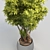 Lush Green Potted Bush 3D model small image 3