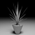 Lush Dracaena Marginata Tree 3D model small image 2