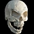 Bloodlust Skull Vampire 3D model small image 1