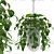 Lucky Leaf Money Plant - Bring Abundance to Your Home 3D model small image 1