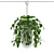 Lucky Leaf Money Plant - Bring Abundance to Your Home 3D model small image 2