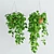 Scandens Hanging Plant: 2 Variants 3D model small image 1