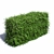 Blooming Cotoneaster Hedge 3D model small image 1