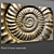 Ammonite Stone Panel 3D model small image 1