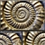 Ammonite Stone Panel 3D model small image 2