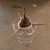 Sprouted Walnut Décor 3D model small image 2