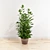 Potted Plant: №4 3D model small image 1