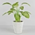 Tropical Dream: Monstera Plant 3D model small image 1