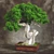 Handcrafted Bonsai Tree Sculpture 3D model small image 1