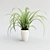 Indoor Spider Plant 3D model small image 1