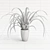 Indoor Spider Plant 3D model small image 2