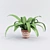 Indoor Plant - №6 3D model small image 1