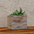 Rustic Teak Root Wood Pedestal 3D model small image 3