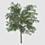 Elegant Tree Sculpture 3D model small image 1