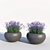 Serenity in a Bottle: Lavender Essential Oil 3D model small image 3