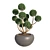 Miniature Zen Tree: Bonsai 3D model small image 1