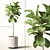 Tall Ficus Lyrata: 1800mm Height 3D model small image 1