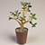 Blooming Money Tree - 36cm Height 3D model small image 1