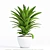 Decorative Plant: Max 2015, 2012, FBX 3D model small image 1