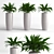 Elegant Aspidistra Plant Duo 3D model small image 1