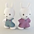 Fluffy Bunny Duo 3D model small image 1