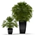 Tropical Breeze: Fan Palm 2 3D model small image 1