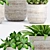 Botanical Bliss: Decorative Plant Set 3D model small image 2