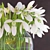 Winter Blooms in Vase 3D model small image 2