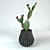 Desert Dwellers Mini Cactus 3D model small image 1