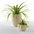 Chlorophytum Pots: Home, Office, Garden 3D model small image 1