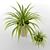 Chlorophytum Pots: Home, Office, Garden 3D model small image 2