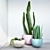 Desert Best Trio: Cactus Collection 3D model small image 1