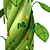  Funtopia Kids Bean Stalk 3D model small image 2