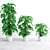 Monstera 4 Leaf Green Plant 3D model small image 1