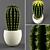 Blooming Cactus in Pot 3D model small image 1