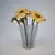 Blooming Gerbera in a Cup 3D model small image 1