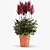 Elegant Astilbe Floral Arrangement 3D model small image 1