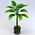 Tropical Palm Tree 1.8-2m 3D model small image 2