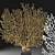 Gorgeous Gorgonian Marine Coral 3D model small image 2