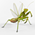 Mantis Religiosa: Elegant Insect Décor 3D model small image 1